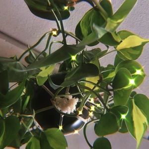 Meet your Posher, June